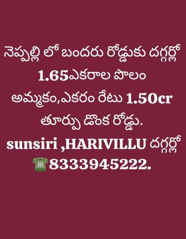 NEPPALLI 1